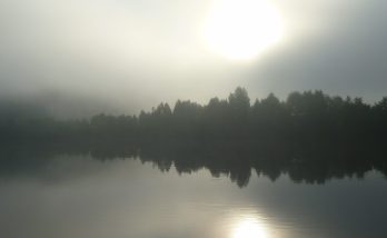 Hela bilden ligger i morgondimma. Vid horisonten syns en remsa skog som speglas i vattnet. Även solen som försöker komma genom diset kan ses dubbelt - i himlen ovanför träden och nere i vattnet.