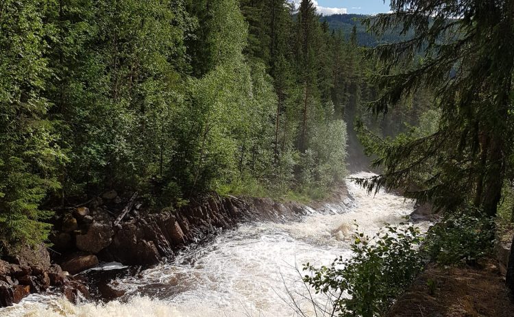 2020-Agnes Källström-Femtfallet-8