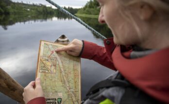 2021-Olga-Sabirova-Hojerstrom-Tf-pa-alven-Tf1Tf2Tf2n-1