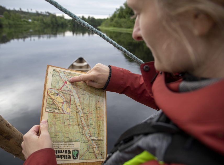 2021-Olga-Sabirova-Hojerstrom-Tf-pa-alven-Tf1Tf2Tf2n-1