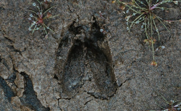 Zweden-Värmland-TimberRafting-BjornSnelders-20