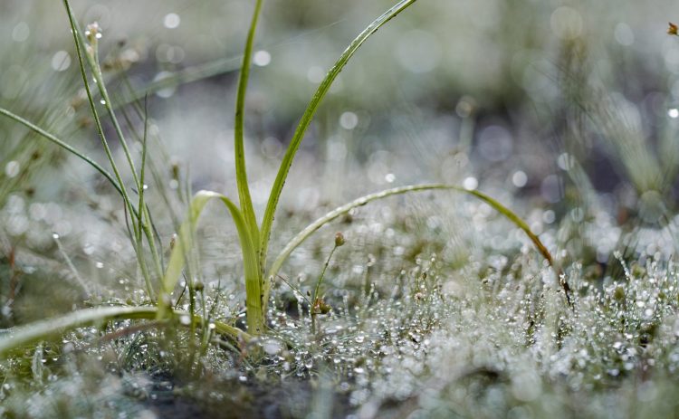 Zweden-Värmland-TimberRafting-BjornSnelders-22