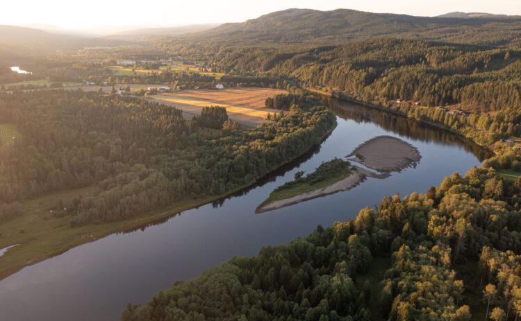 Zweden-Varmland-TimberRafting-BjornSnelders-41