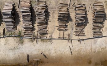 Zweden-Värmland-TimberRafting-BjornSnelders-35