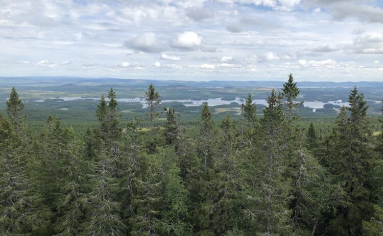 2020-Katharina Steffens-Granberget-1