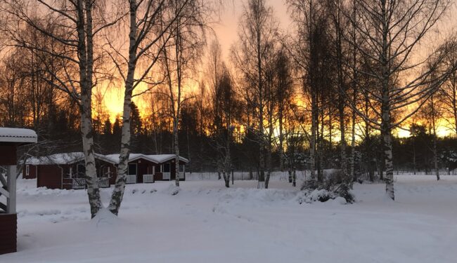 2022-Katharina Steffens-Området Kcy-2