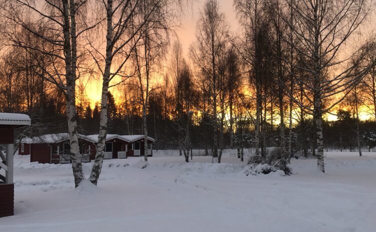 2022-Katharina Steffens-Området Kcy-2