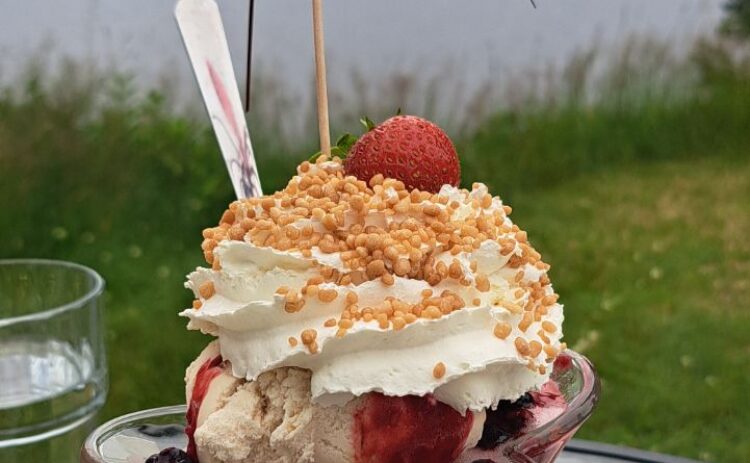 2024-Amanda Appelgren-Mormors glasscafé-2