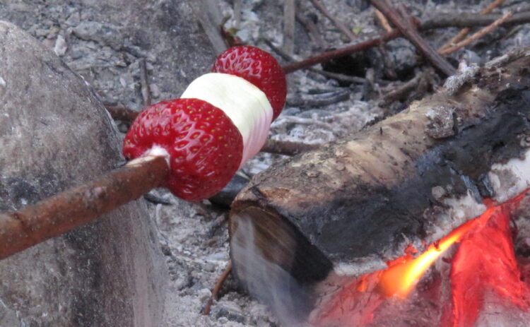 På en pinne är två jordgubbar och en marshmallow trädd. Pinnen hölls över en liten eld för att godbitarna ska grillas. Lågan är mycket svag. Den grå askan i bakgrunden gör att sötsakerna på pinnen syns mycket tydligt.